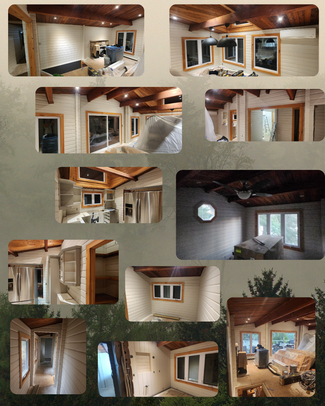 cabin and interior wall paint